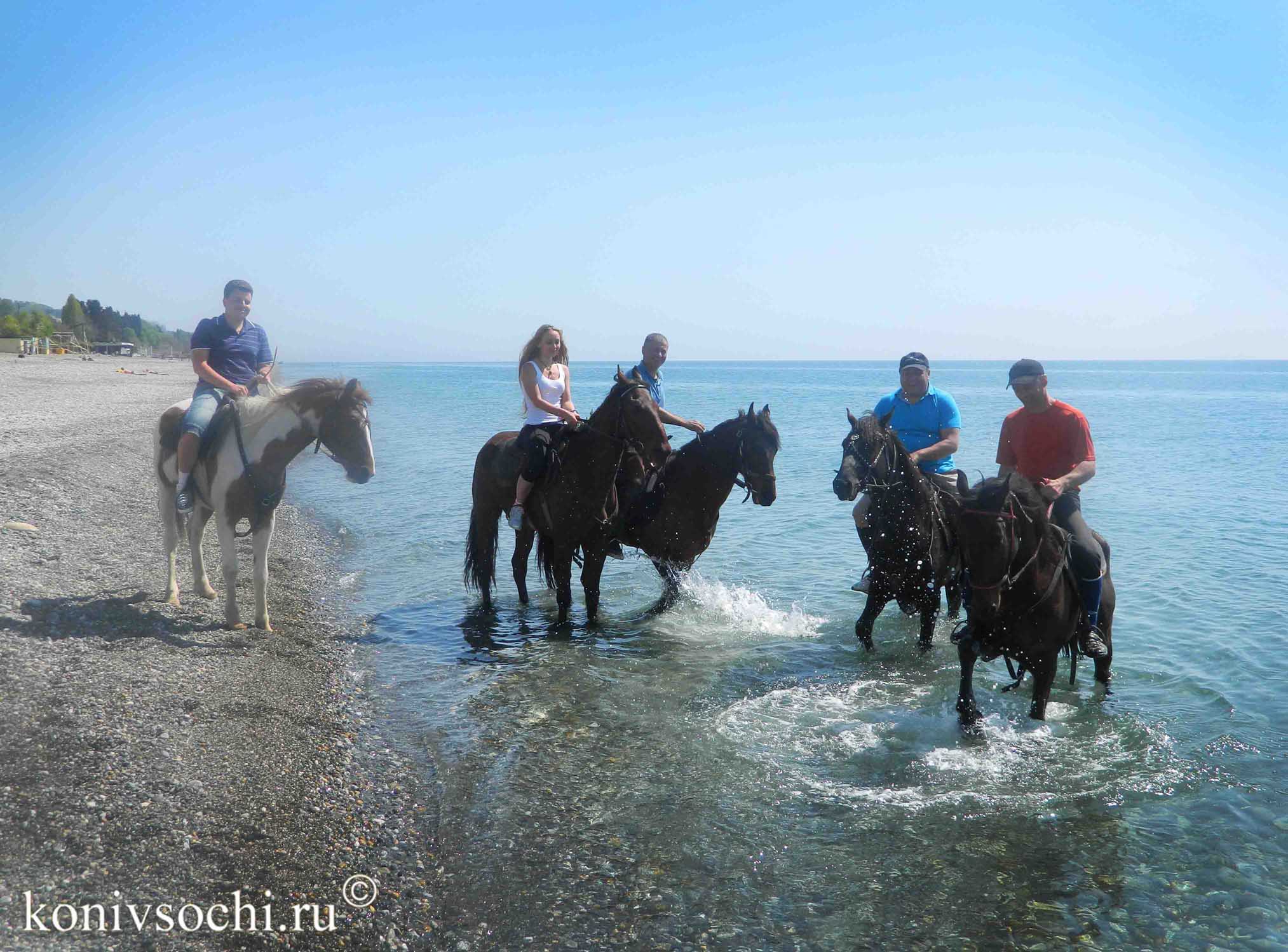 Прогулка на лошадях к Черному морю, Сочи