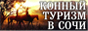 Конный туризм: активный отдых на юге, туризм в Сочи